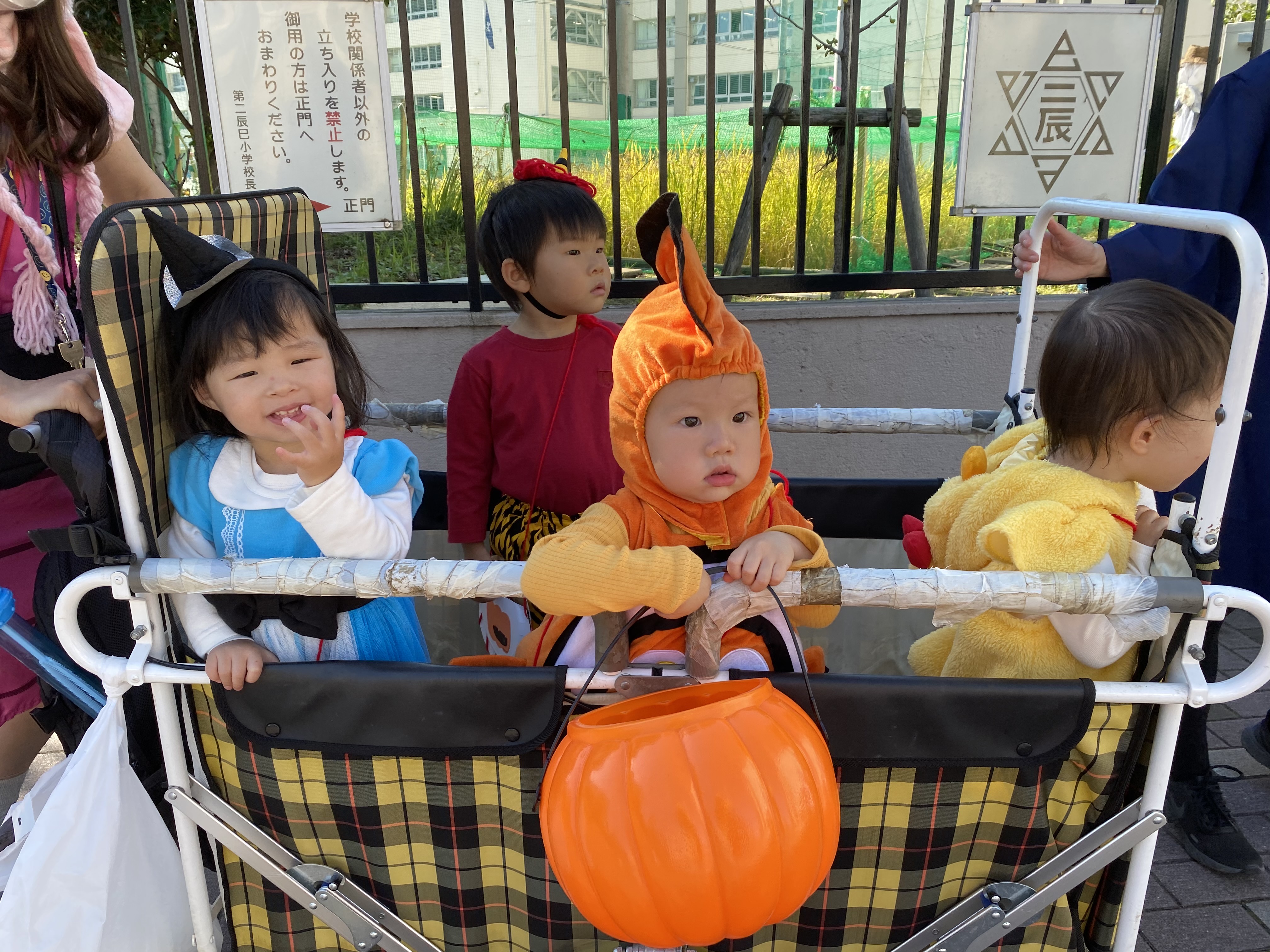 A07267D6-09E3-4A99-B7C3-34F366392933